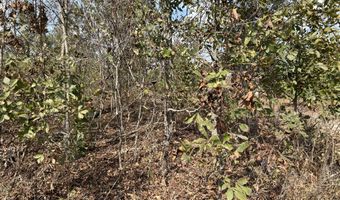 Tbd 7885 County Road 306 Pvt Drive-B, Ava, MO 65608