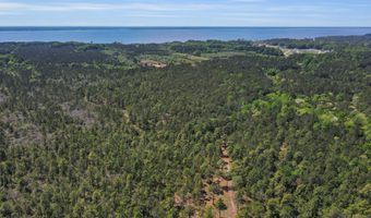 Burton Farm Road, Arapahoe, NC 28510