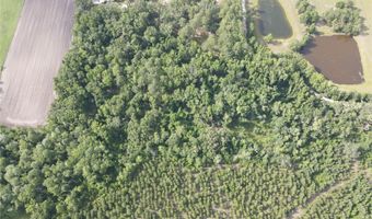 Tbd NW 67TH BOULEVARD, Alachua, FL 32615
