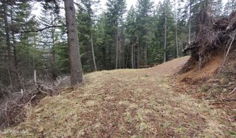 480 Dunn Peak Rd, Avery, ID 83802
