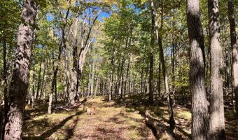 1235 White Hill Rd, Alma, NY 14715