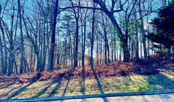 Lake Vista Drive lot 37, Baneberry, TN 37890