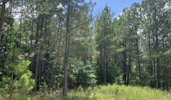 Na Metasville Road, Lincolnton, GA 30817