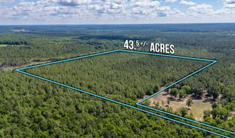 43 5 +/- A Old River Rd, Baker, FL 32531