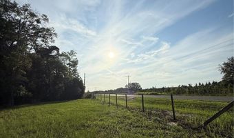 5109 SW 10TH St, Bell, FL 32619