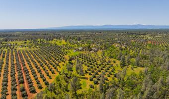16770 Scout Ave, Anderson, CA 96007
