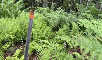 1386 Clif Reynolds Rd, Cambridge, VT 05444