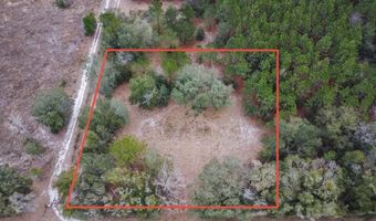 14109 SW 134TH Ter, Archer, FL 32618