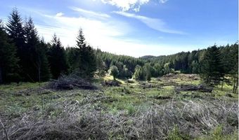 NW LODGE Rd, Banks, OR 97106