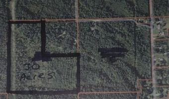 V/L 30AC Lake Winyah Road, Alpena, MI 49707