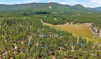 20 County Rd N2120, Alpine, AZ 85920