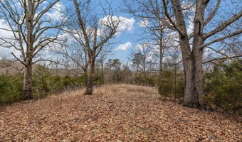 Smithtown Road, Afton, TN 37616