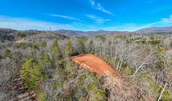 430 Live Oak Ter, Andrews, NC 28901
