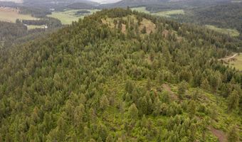 2420 CEDONIA ADDY Rd, Addy, WA 99101