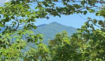 1621 Granny Squirrel Dr, Andrews, NC 28901