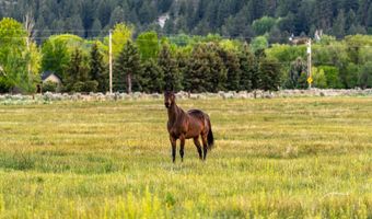 320 Mottsville, Gardnerville, NV 89460