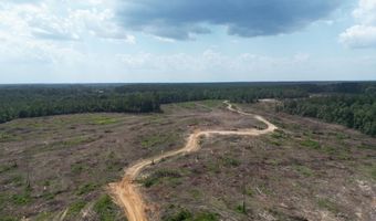 SE Cole Drive, Bogue Chitto, MS 39629