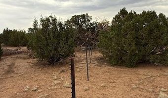 35 County Road 3044, Concho, AZ 85924