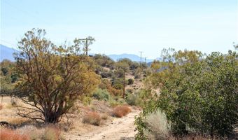 59401 Trails End Ln, Anza, CA 92539