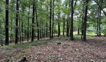 26 33 ACRES HICKORY CORNER Rd, Augusta, WV 26704