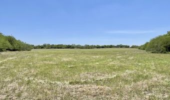 Tract 4 W King Lane, Beeville, TX 78012