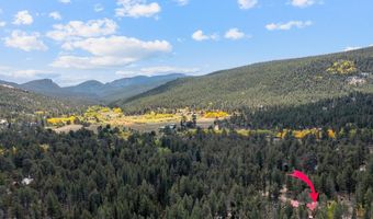 761 Cabin Creek Rd, Allenspark, CO 80510