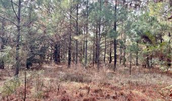 S Waller Rd, Bald Knob, AR 72010
