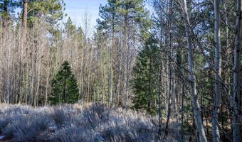 240 Forest Hill Way, Gardnerville, NV 89460