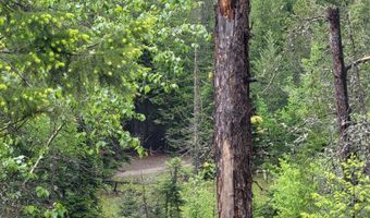 NNA Silver Ave, Bayview, ID 83803