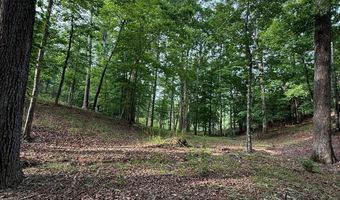 Lot 5 Purvis Road, Baldwin, GA 30511