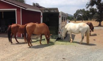 180 Stallion Way, Angels Camp, CA 95222