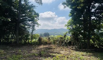 Tract 1 Mill Creek Rd, Andersonville, TN 37705
