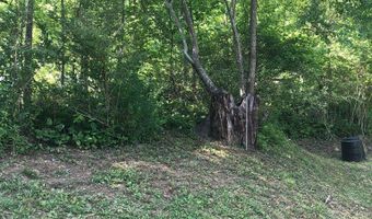 Raven Nest Branch Rd. lot 0, Bandy, VA 24602