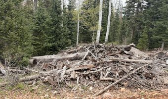 646 W Ski View Dr, Brian Head, UT 84719