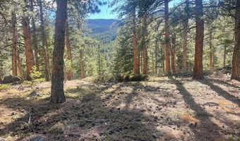 399 N Skinner Rd, Allenspark, CO 80510