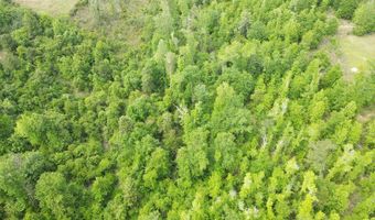 TBD NW CR 274, Altha, FL 32421