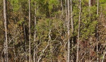 0001 Mason Rd, Biloxi, MS 39532