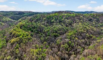 61 AC Hidden Cove Ln, Allons, TN 38541