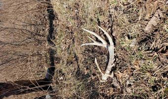 189 Th St, Albia, IA 52531