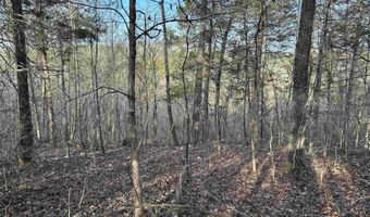 000 County Road 145, Alton, MO 65606