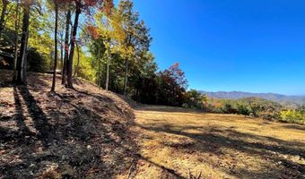35 36 Cahill Dr 35&36, Andrews, NC 28901