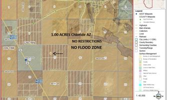 W Aduwa Drive, Chloride, AZ 86431