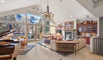 990 E Hopkins Ave, Aspen, CO 81611