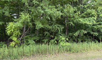 48 Pinewood Dr, Altona, NY 12910
