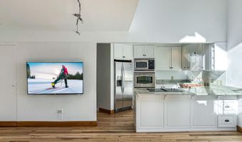 915 E HOPKINS Ave 4, Aspen, CO 81611