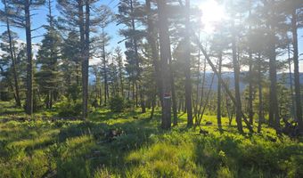 1 Big Sky Ridge Rd, Drummond, MT 59832