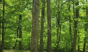 Barnes Road, Bardstown, KY 40004