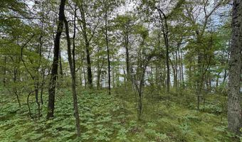 Tract 1 East Bay Road, Atkins, AR 72823