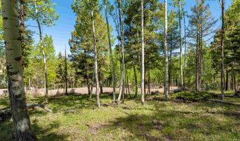 Lot 437 El Camino Real, Angel Fire, NM 87710