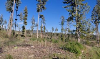 NNA This Way Rd Lot 1 & 2, Bonners Ferry, ID 83805
